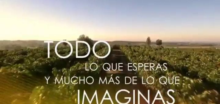 marca españa