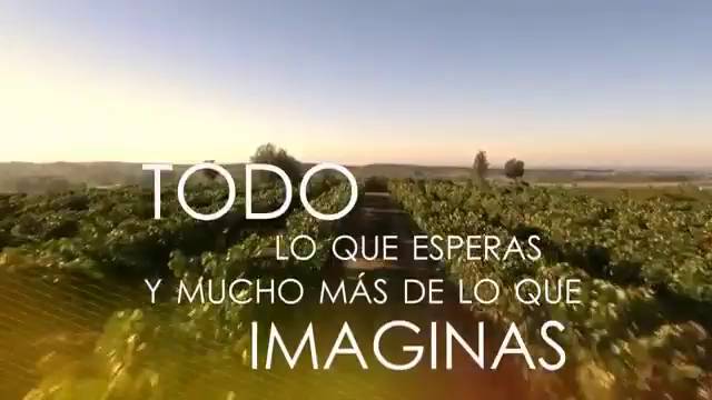 marca españa