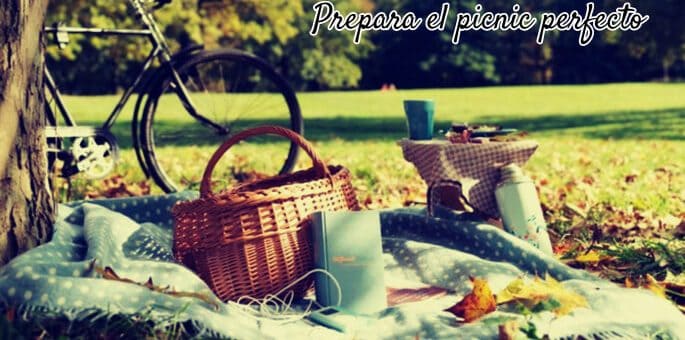 picnic ideal