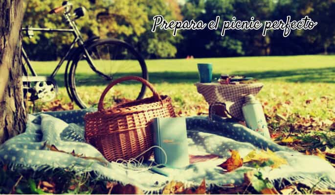 picnic ideal