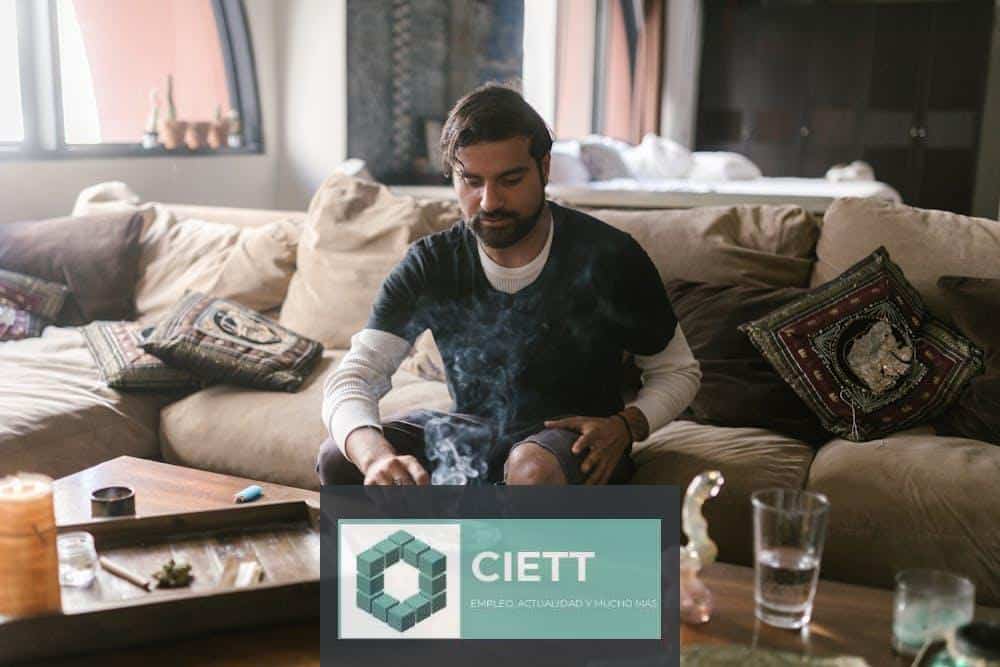 cbd