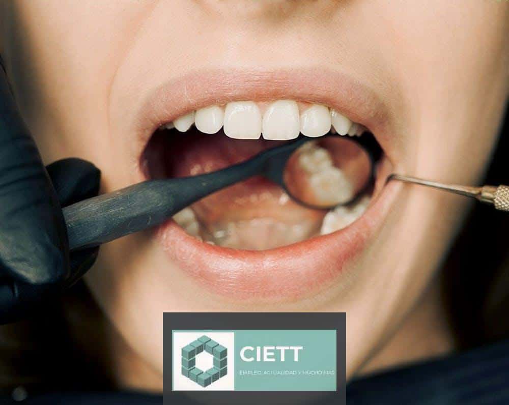 Dentist Checking Teeth of a Person