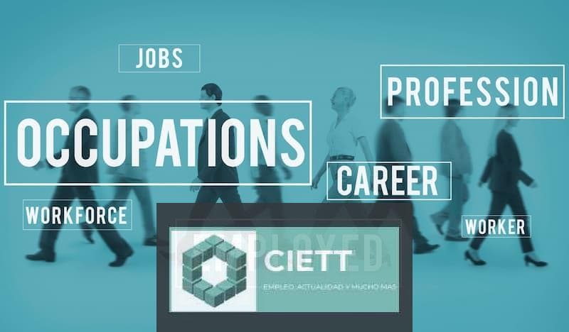 ¿Cómo encontrar un primer empleo?