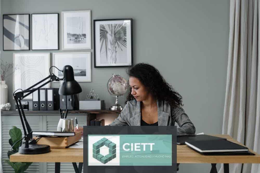 Businesswoman evaluates documents at a modern desk in a stylish office setting.
