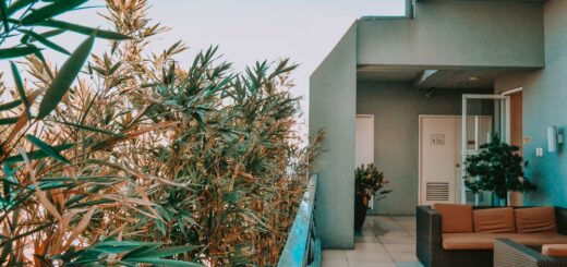 green palm tree near white concrete building during daytime