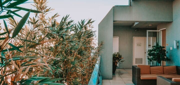 green palm tree near white concrete building during daytime
