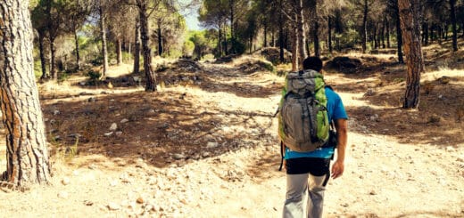 persona en el camino de santiago