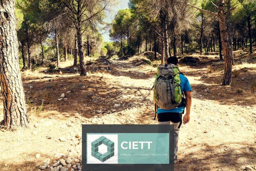 persona en el camino de santiago