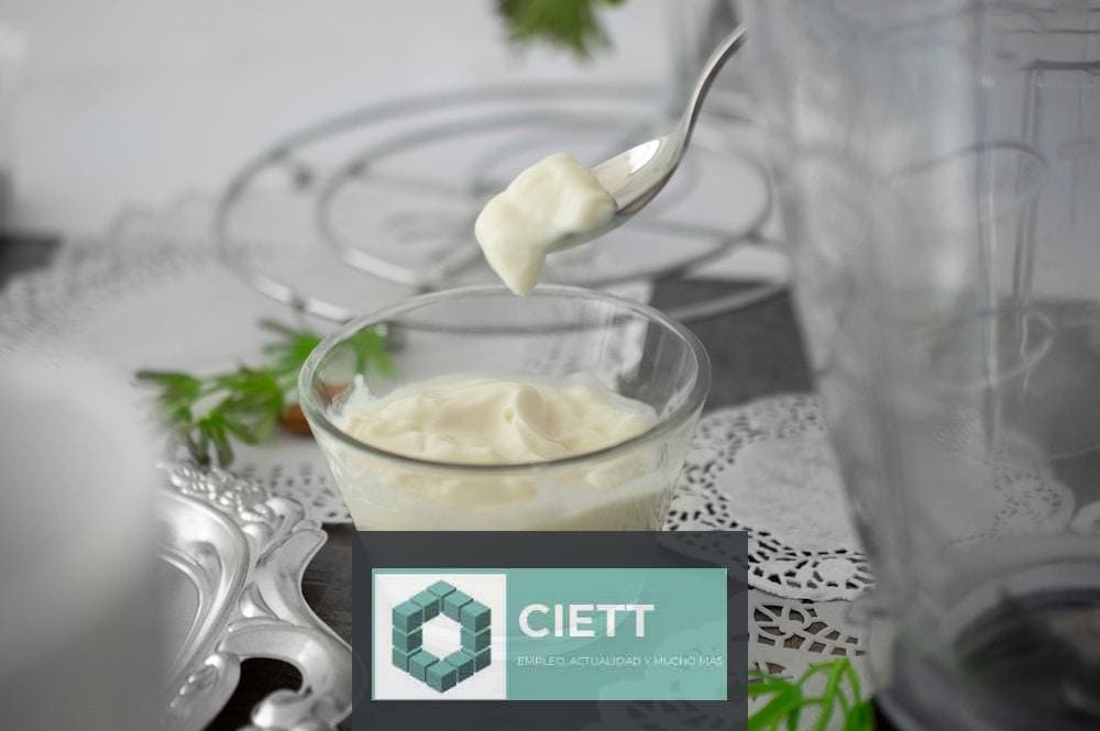Alimentos fermentados y su impacto en la salud intestinal