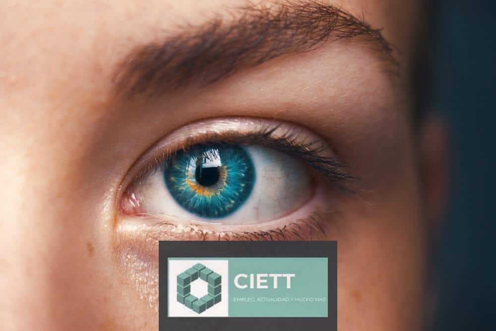 selective focus of blue-eyed person